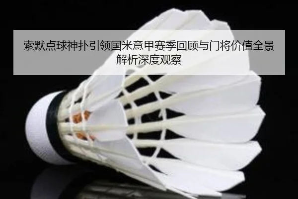 索默点球神扑引领国米意甲赛季回顾与门将价值全景解析深度观察